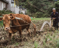 Zeměpis hladu 4: Malthusovský strašák